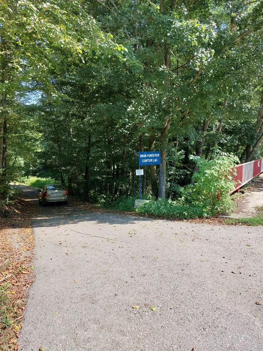 Surduc, teren cu padure pe malul lacului Surduc