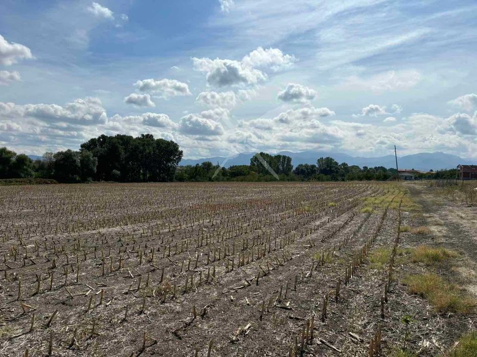 Продава се Парцел в с. Стоево, Област Пловдив - 5581 кв.м за 13 €/кв.м - Снимка #1