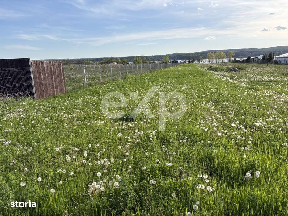 Teren 2100 mp cu iesire la lac – Budeasa Mare