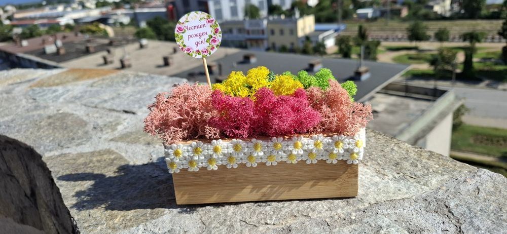 Кашпа със скандинавски мъх