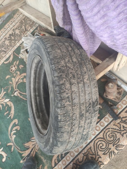 донгелек сатылады