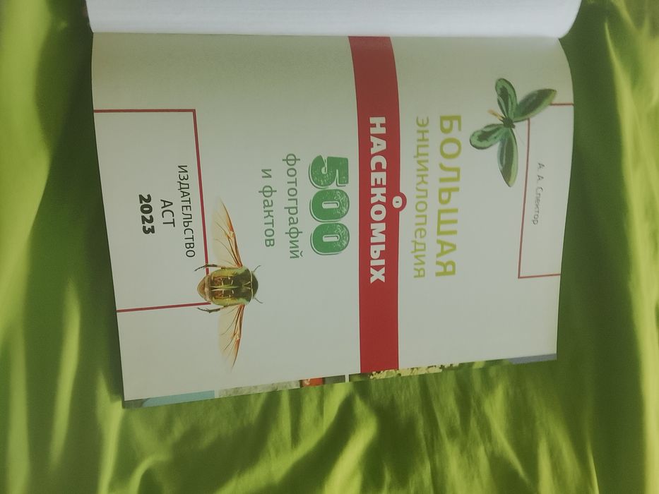 Книга про насекомых