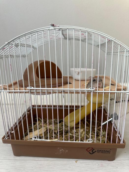 Продам хомяка и клетку