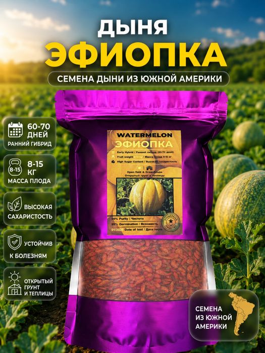 Семена Дыни Эфиопка (Калмычка) 1кг