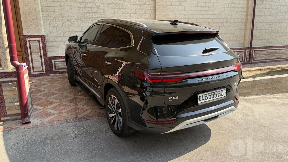 Byd chempion 2024