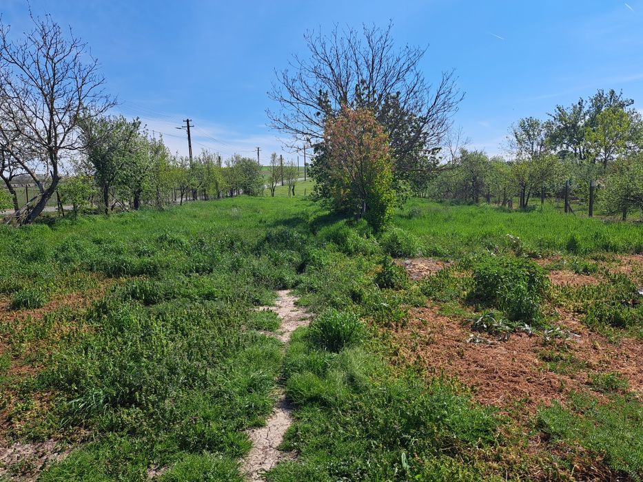 Casă – Lugoj - Vedere 5