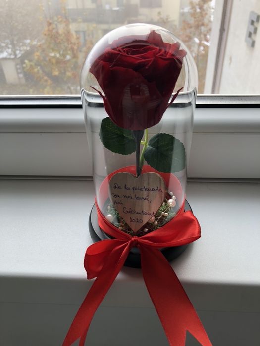 Cupola cu trandafir rosu criogenat