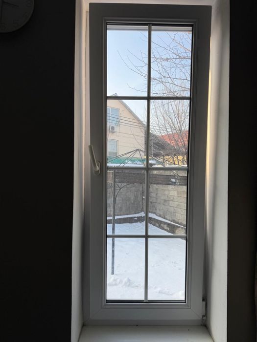 Окна ликовские