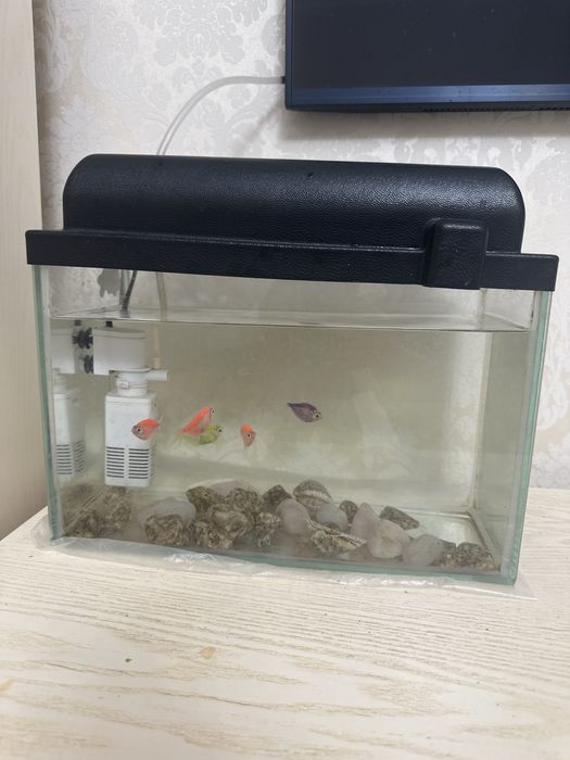 Аквариум домашний