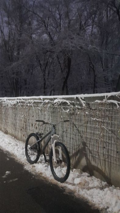 Дёрт  x-cobra 387