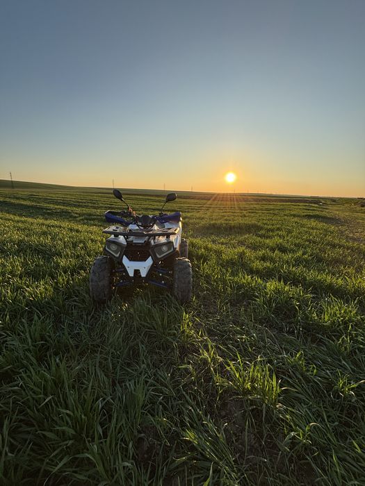 Vand atv 150cc wolf rider