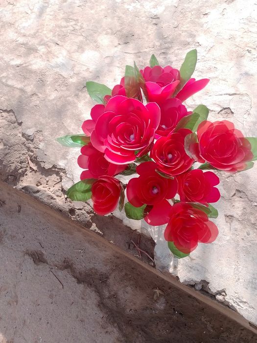 Пластиковыей цветок