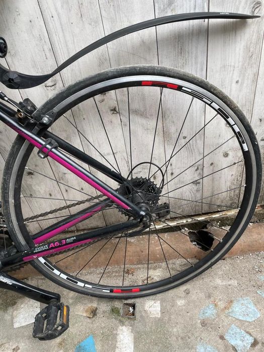 Cursiera Principia Evolve Factura+Garantie -A-