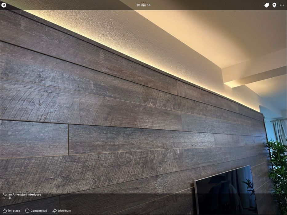 HandyMan–Timișoara