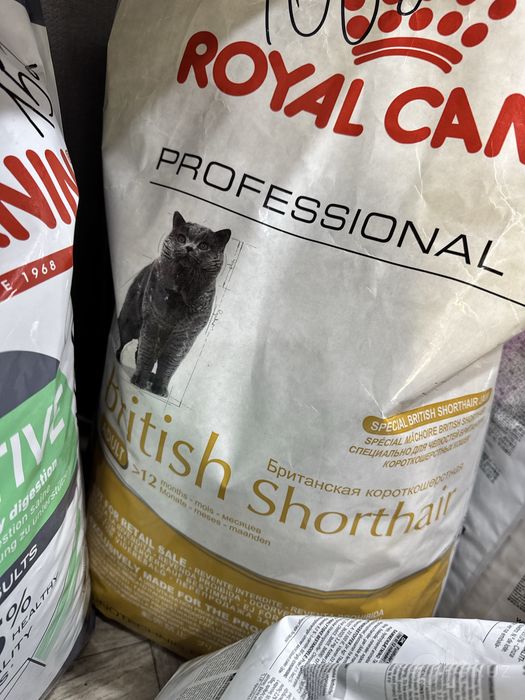 Royal Canin сухой корм