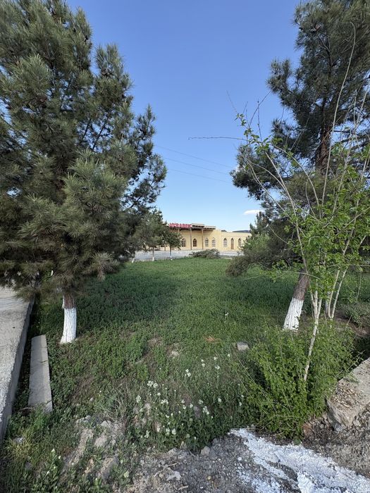 Продаётся участок с готовым бизнесом (кафе + земля)