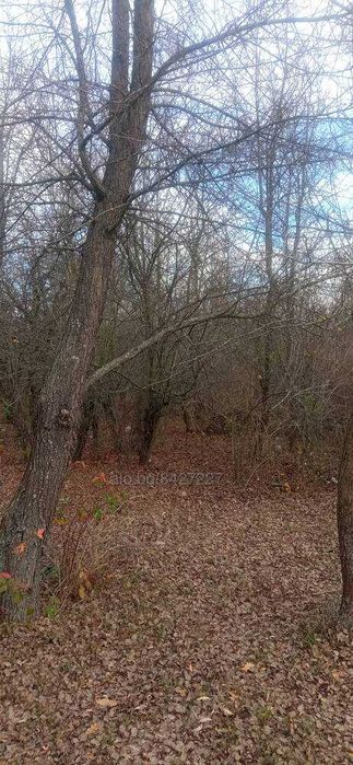 Парцел  10 дка на брега на язовир Тича