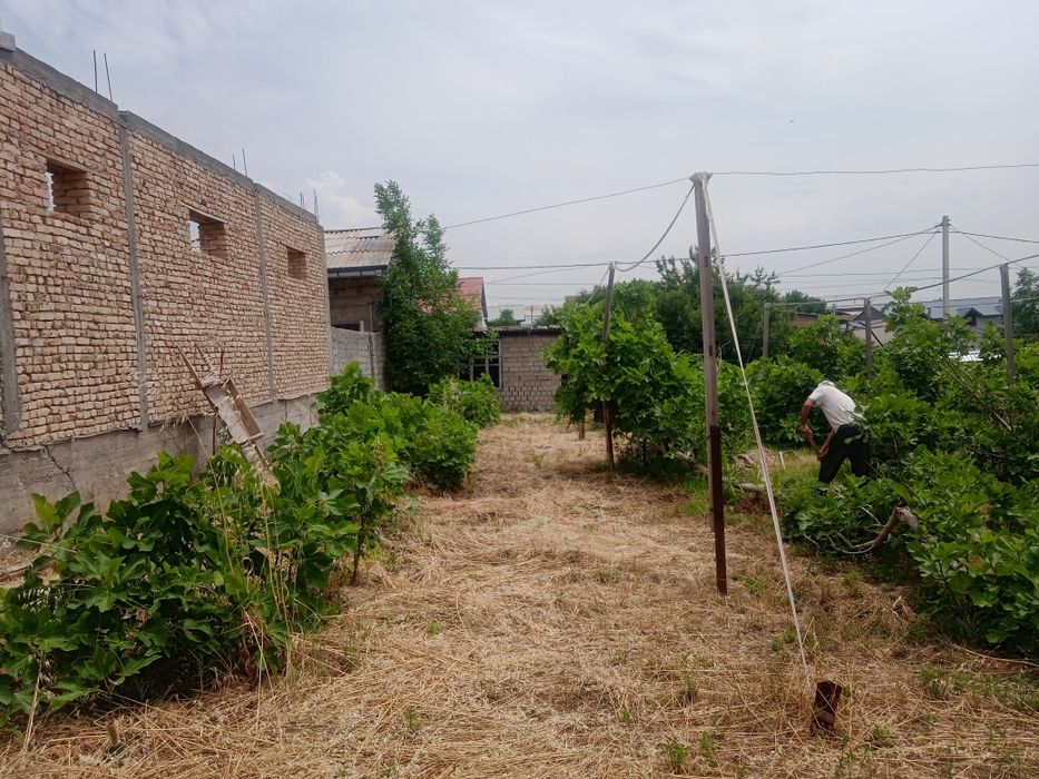 6 sotik bog sotiladi. 20tub anjiri bor suv gaz svetdan Momo yoqkochasi