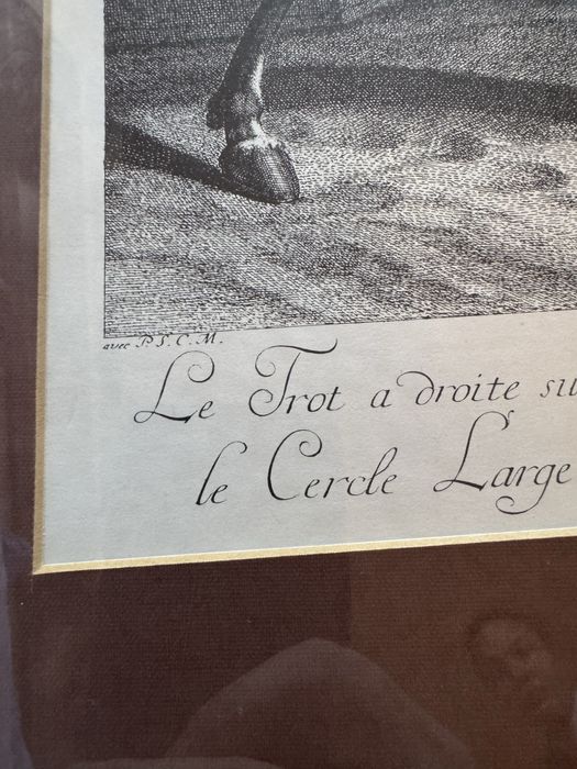 Литография на Йохан Елиас Ридингер - The Trot /Галоп