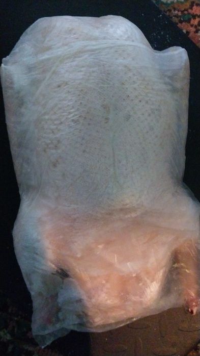 Щипаем любую птицу