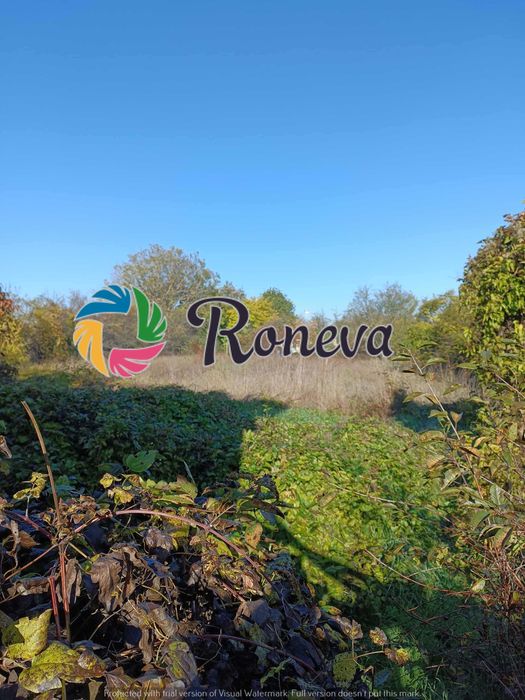 Голямо дворно място с къща и много сезонни постройки