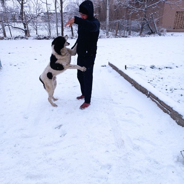 Bir yarim yosh. Kfrkjwwlrkfkslskdkkw