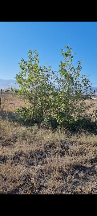 Продам участок под промбазу.