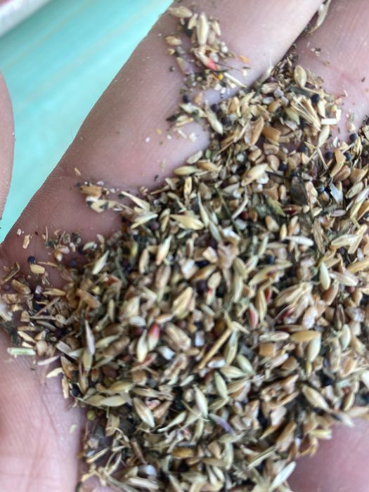 бугдой ем  тоза  сифатли