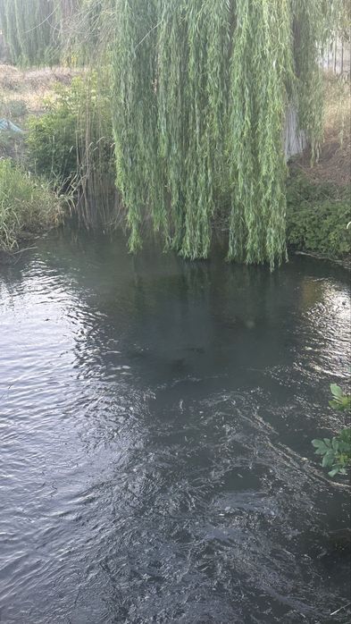 Ер сотилади. Земля под любой вид деятельности