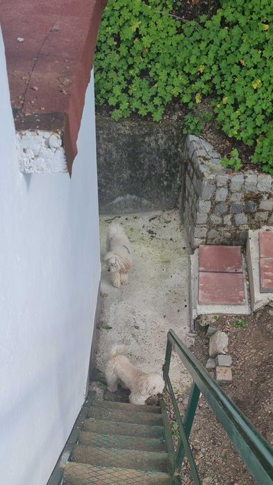 Продава се Къща в София, Център - 70 кв.м за 929 €/кв.м - Снимка #12