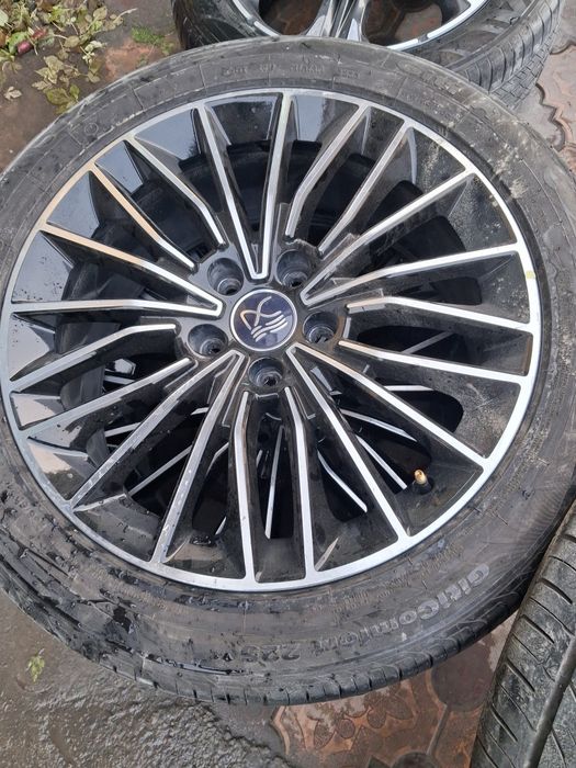 19 buvaydi han diska balon