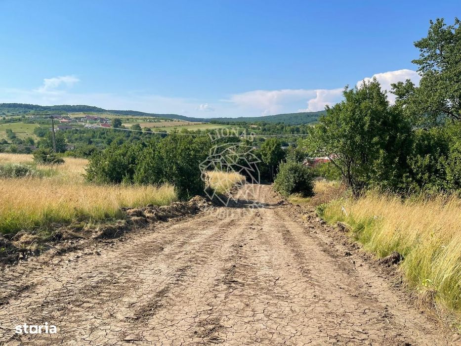 Parcele de 1000 mp-panoramic-ideal investitie-Sigmir