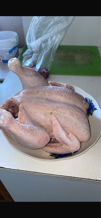 Домашнее мясо бройлера
