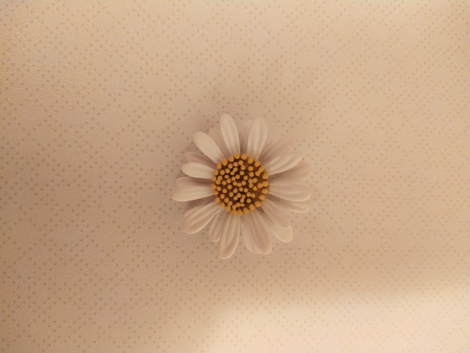 Продам брошки новые!