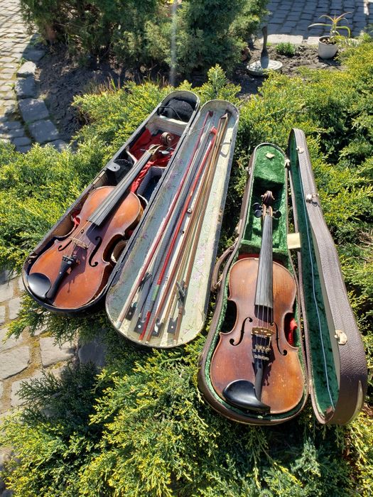 viori ff vechi stradivarius