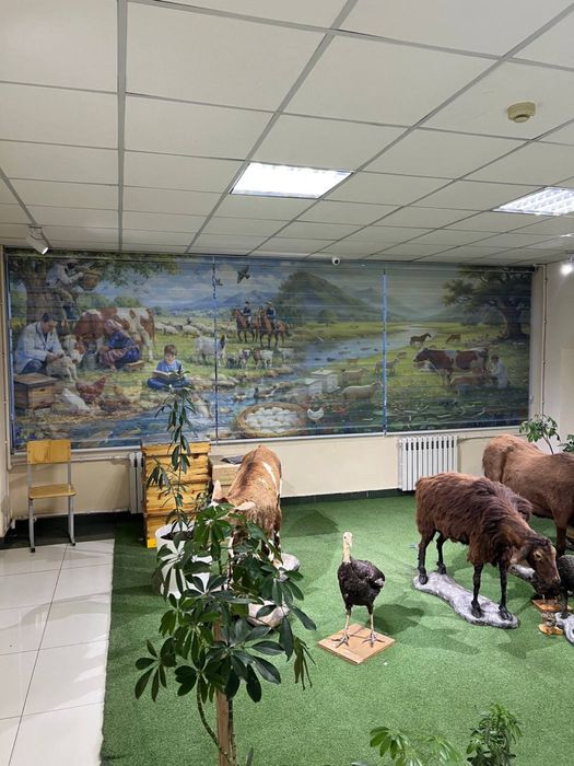 жалюзи jalyuzi jaluzi