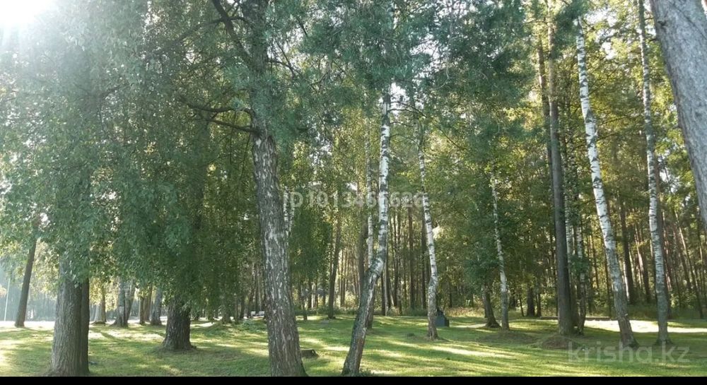 Дачный участок в Михайловке
