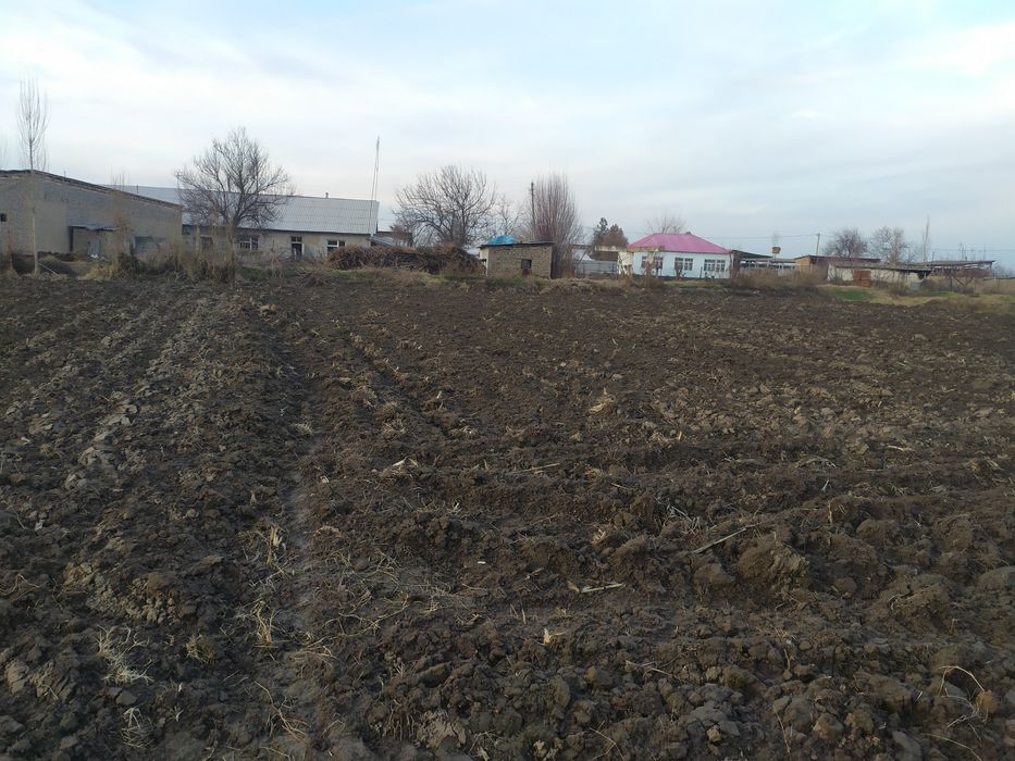 Toshkent viloyati quyichirchi tumani 5 bolim