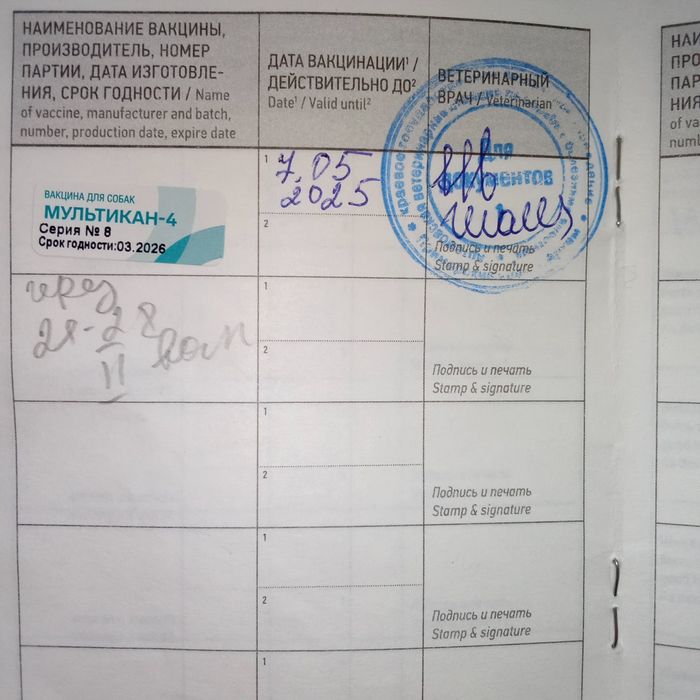 Алобай 1 ёшар булди