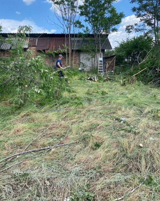 Defrisari/curățare terenuri