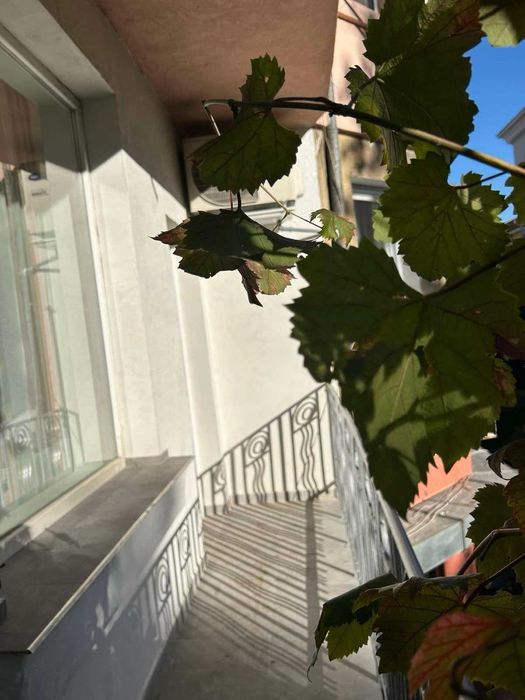 Дава се под наем Двустаен апартамент в София, Център - 63 кв.м за 739.5 € - Снимка #7