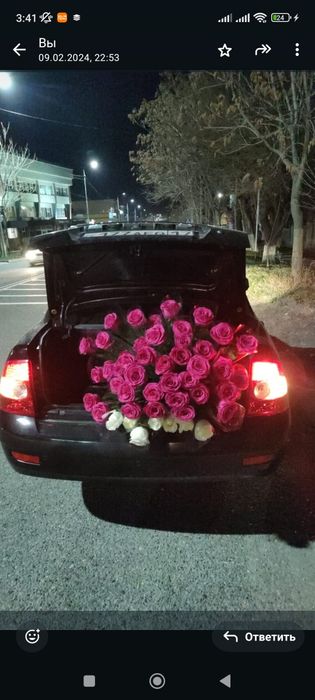 Метровые голандские розы