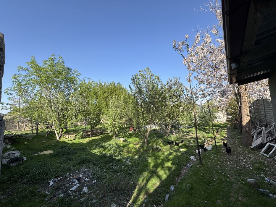 Nazarbek turkiston hovli yer sotiladi