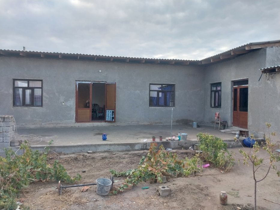 Holi sotiladi 6 sutik