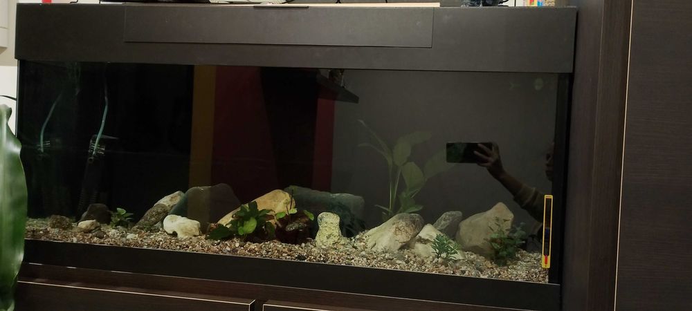 Аквариум 110х36х45