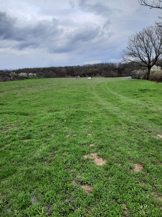 Teren 7900mp,deschidere dublă-sat Șasa,Dănești(10km de Tg jiu)