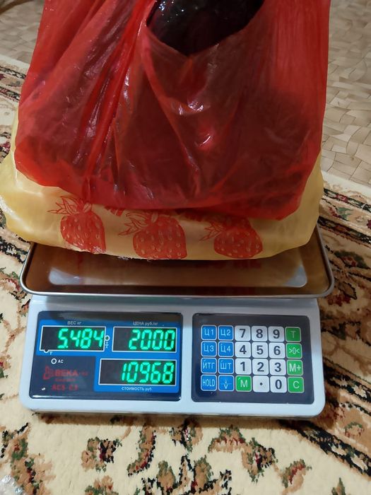 Продам домашних гусей