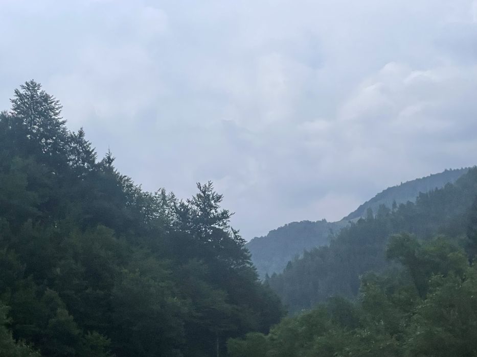 Teren Maguri racatau si cabana