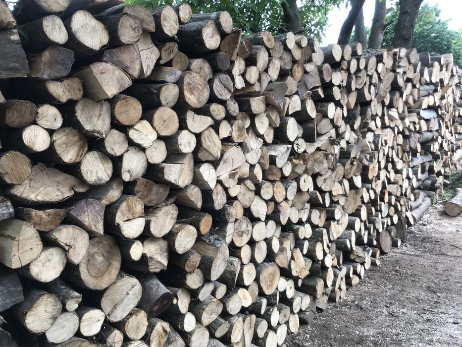 Lemne de foc,(fag-carpen),cantitate si seriozitate 100%