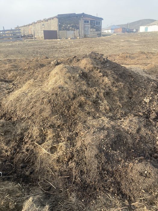 Черназем перегной,свежий